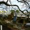 O'Neill's Point Cemetery, Bayswater, North Shore City, Auckland