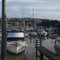 Milford Marina
