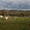 Leisure farms in Dairy Flat, New Zealand