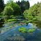 Hamurana Springs, Rotorua, New Zealand