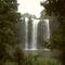 Whangarai Falls