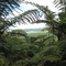 Otaika Valley Walk - Lookout