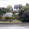 Houses and trees on the shore