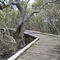 Limeburner's Creek