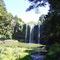 New Zealand - Whangarei Falls