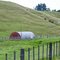 "Dad, not another Nissen Hut" near Waipu