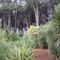 Kew Bush