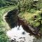 Lost World highway