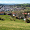 From the Hill 01