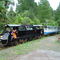 Rainforest Express