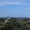 West Auckland View