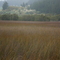 Saltmash, Tapuwae, Hokianga