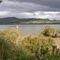 Hokianga Harbour