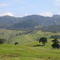 towards Opononi