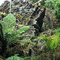 Geologists delight