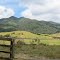 Waima farm