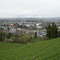 Town Centre Tokoroa From Colsons Hill