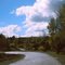 Rural road scene