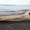 WAIROA beach-1