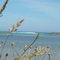 Wairoa