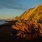 Wairoa Coast