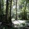 lake panasoffkee conservation area 7