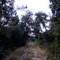 lake panasoffkee conservation area 8