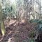 Jumper Creek WMA