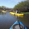 Gemini Springs Paddle