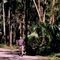 December in Florida