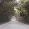 Dusty Road