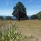 New Zealand - North Island - Taupo - W2K ride