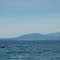New Zealand - North Island - Lake Taupo - Whakaipo Bay - Black Swans