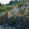 Lake Taupo Rock Carvings