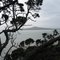 auckland