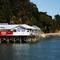NZ / Mangonui