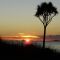 Sunset across Doubtless Bay from Hihi