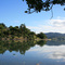 Mangonui 2