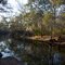 Aucilla River