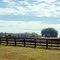 2010 Greenville, FL, USA