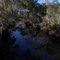 Aucilla River & rd 257