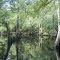 Aucilla River