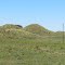 Taranaki, Rahotu
