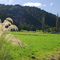 east West Coast farm land and native bush