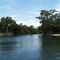 Suwannee River near Branford, FL