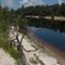 The Suwannee River