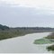 Oklawaha River