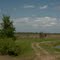 Looking across the original Ocklawaha River floodplain