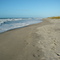 papamoa beach