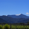 Huia Vineyard ,Renwick
